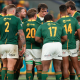 Springboks ansiosos por recuperarse