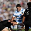 Actividad de Los Pumas
