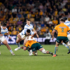 Los Pumas tienen equipo
