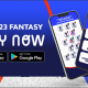 Rugby World Cup 2023 Fantasy Game