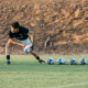 Actividad de Los Pumas