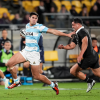 Los Pumas tienen equipo