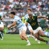 Los Pumas tienen equipo