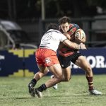 55133248830_d3486c700a_c